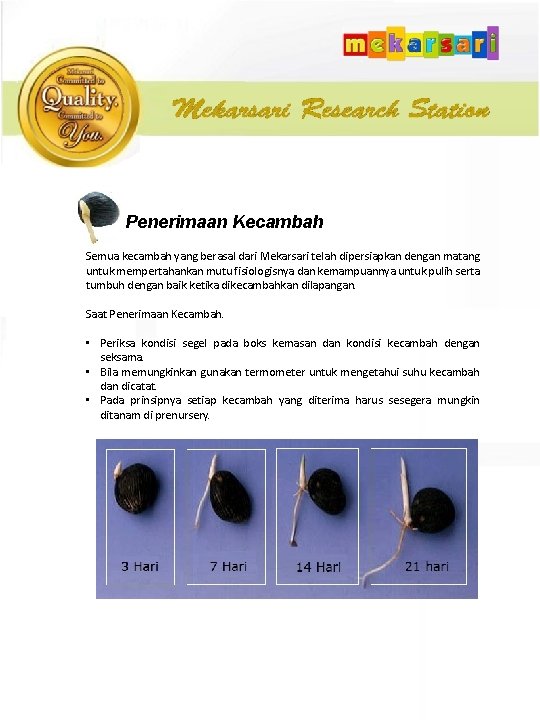 Penerimaan Kecambah Semua kecambah yang berasal dari Mekarsari telah dipersiapkan dengan matang untuk mempertahankan