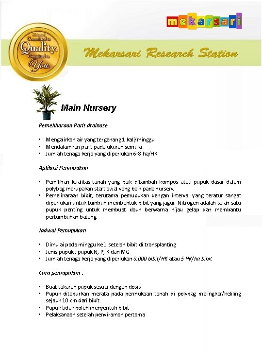 Main Nursery Pemeliharaan Parit drainase • Mengalirkan air yang tergenang 1 kali/minggu • Mendalamkan