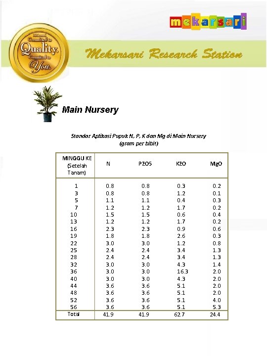 Main Nursery Standar Aplikasi Pupuk N, P, K dan Mg di Main Nursery (gram