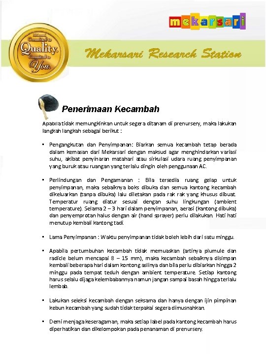 Penerimaan Kecambah Apabila tidak memungkinkan untuk segera ditanam di prenursery, maka lakukan langkah sebagai