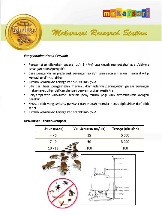 Pengendalian Hama Penyakit • Pengamatan dilakukan secara rutin 1 x/minggu untuk mengetahui ada tidaknya