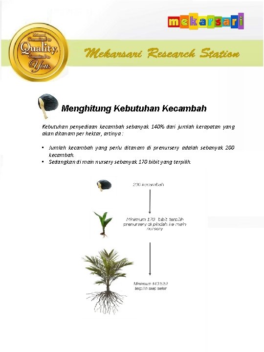 Menghitung Kebutuhan Kecambah Kebutuhan penyediaan kecambah sebanyak 140% dari jumlah kerapatan yang akan ditanam