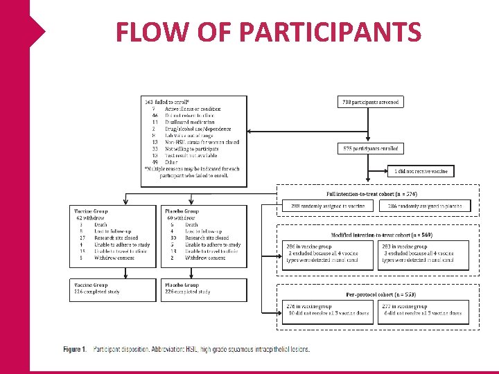 FLOW OF PARTICIPANTS 