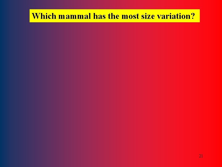 Which mammal has the most size variation? 21 