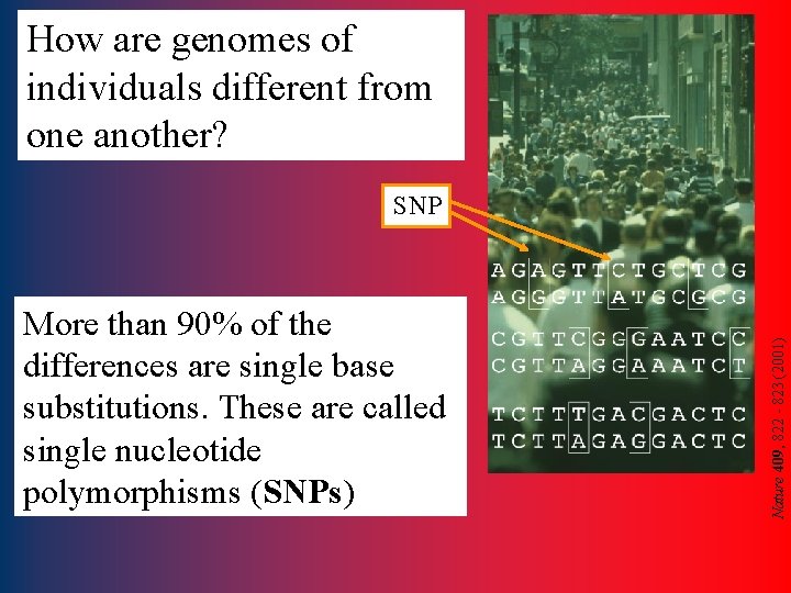 How are genomes of individuals different from one another? More than 90% of the