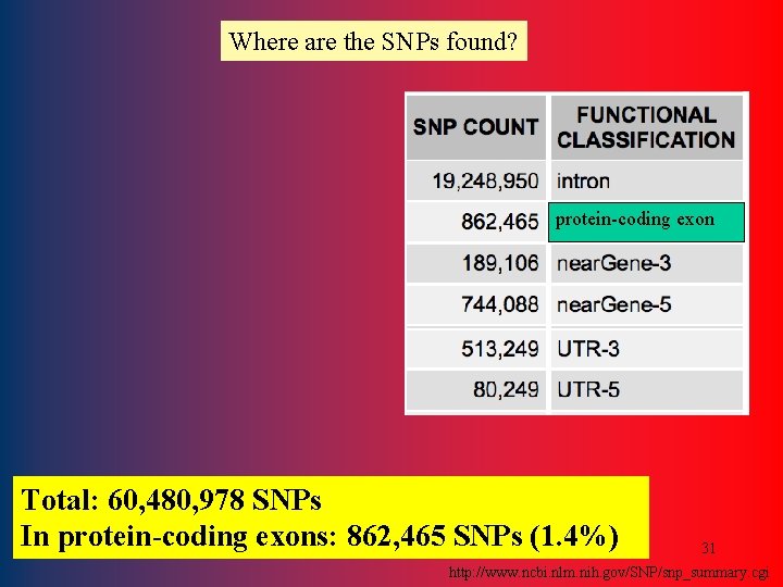 Where are the SNPs found? protein-coding exon Total: 60, 480, 978 SNPs In protein-coding