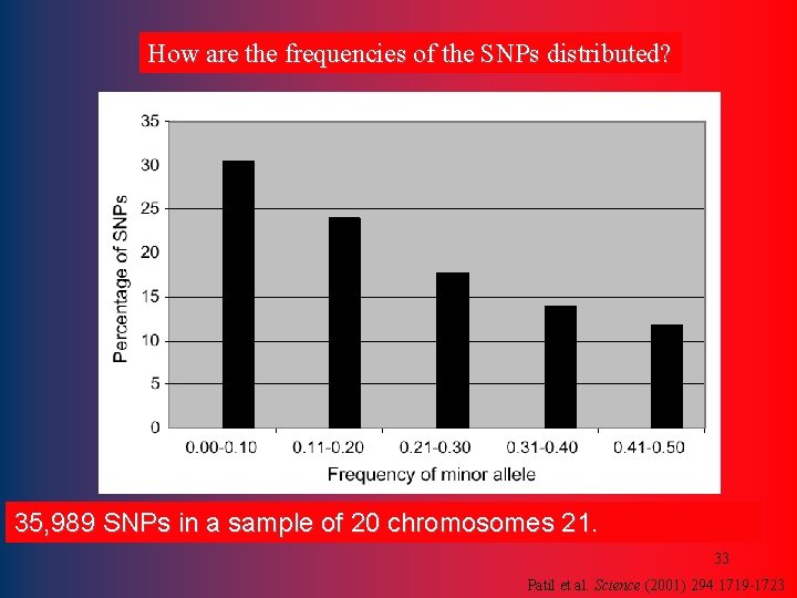 How are the frequencies of the SNPs distributed? 35, 989 SNPs in a sample