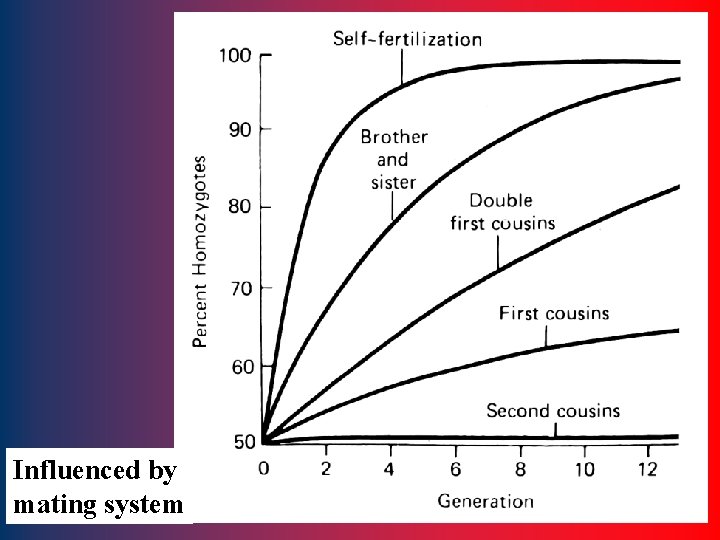 Influenced by mating system 6 