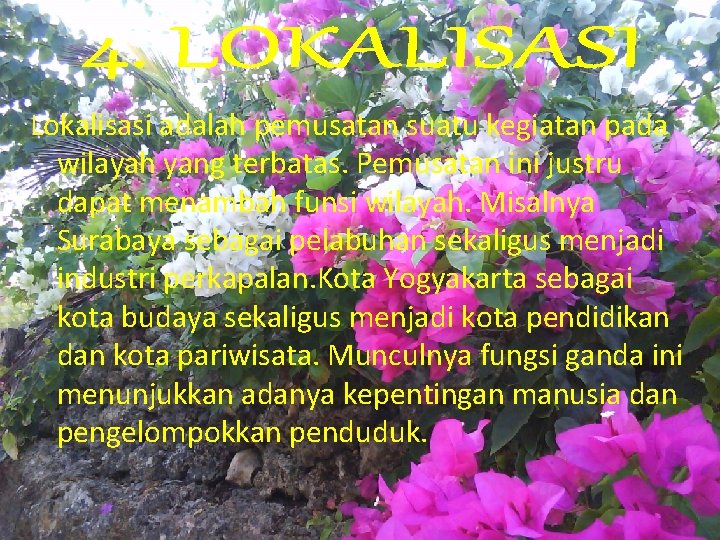 Lokalisasi adalah pemusatan suatu kegiatan pada wilayah yang terbatas. Pemusatan ini justru dapat menambah