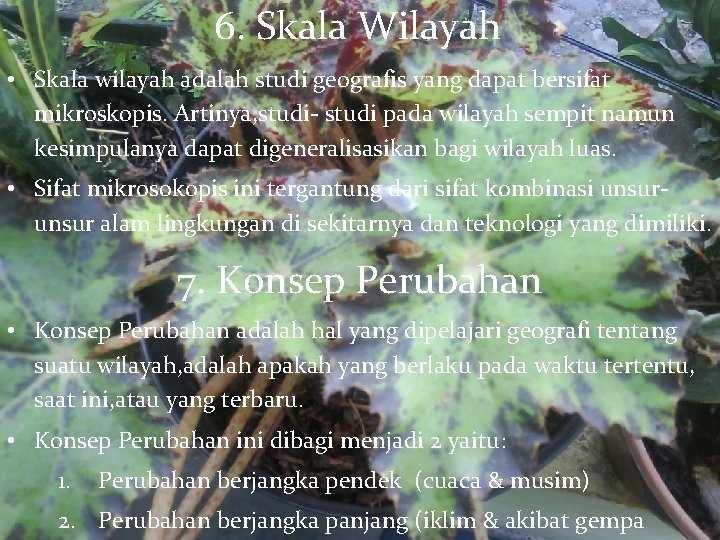 6. Skala Wilayah • Skala wilayah adalah studi geografis yang dapat bersifat mikroskopis. Artinya,