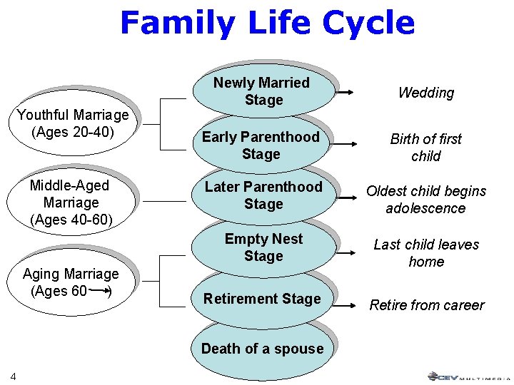 Family Life Cycle Youthful Marriage (Ages 20 -40) Middle-Aged Marriage (Ages 40 -60) Aging