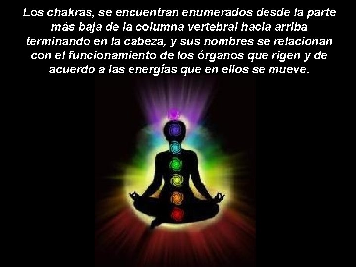 Los chakras, se encuentran enumerados desde la parte más baja de la columna vertebral