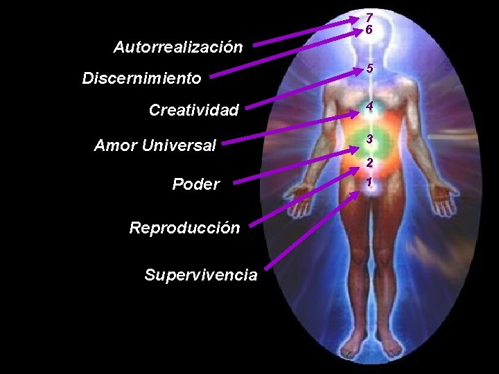 7 6 Autorrealización Discernimiento Creatividad Amor Universal 5 4 3 2 Poder Reproducción Supervivencia