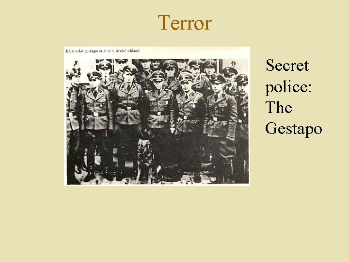 Terror Secret police: The Gestapo 