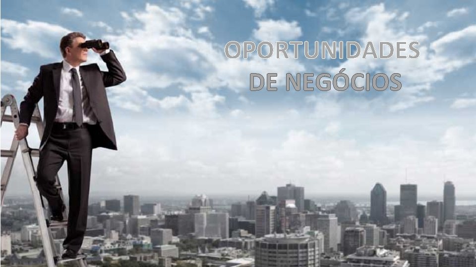 OPORTUNIDADES DE NEGÓCIOS 