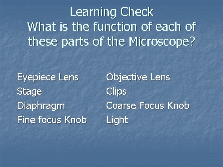 Learning Check What is the function of each of these parts of the Microscope?