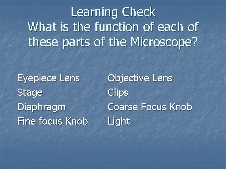 Learning Check What is the function of each of these parts of the Microscope?