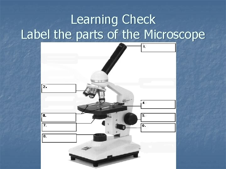 Learning Check Label the parts of the Microscope 