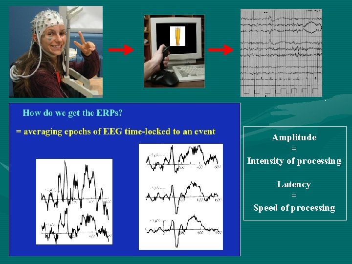 Amplitude = Intensity of processing Latency = Speed of processing 