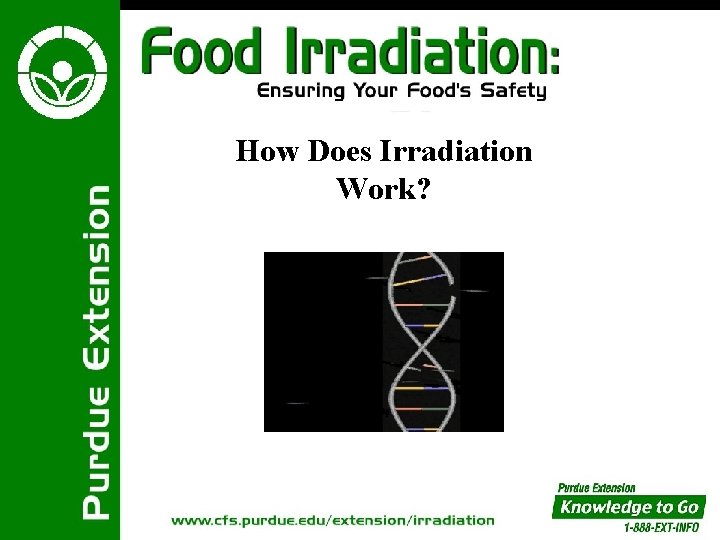 How Does Irradiation Work? 