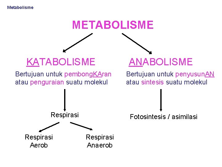 Metabolisme METABOLISME KATABOLISME Bertujuan untuk pembong. KAran atau penguraian suatu molekul Respirasi Aerob ANABOLISME