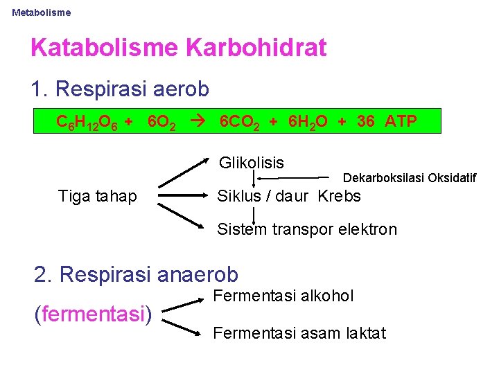 Metabolisme Karbohidrat 1. Respirasi aerob C 6 H 12 O 6 + 6 O