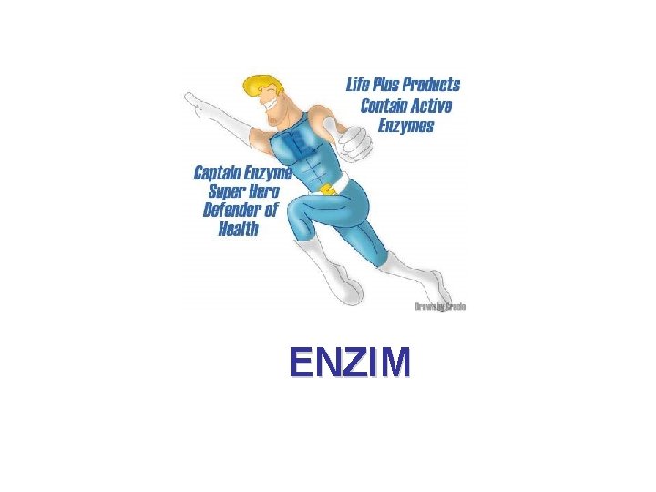 ENZIM 