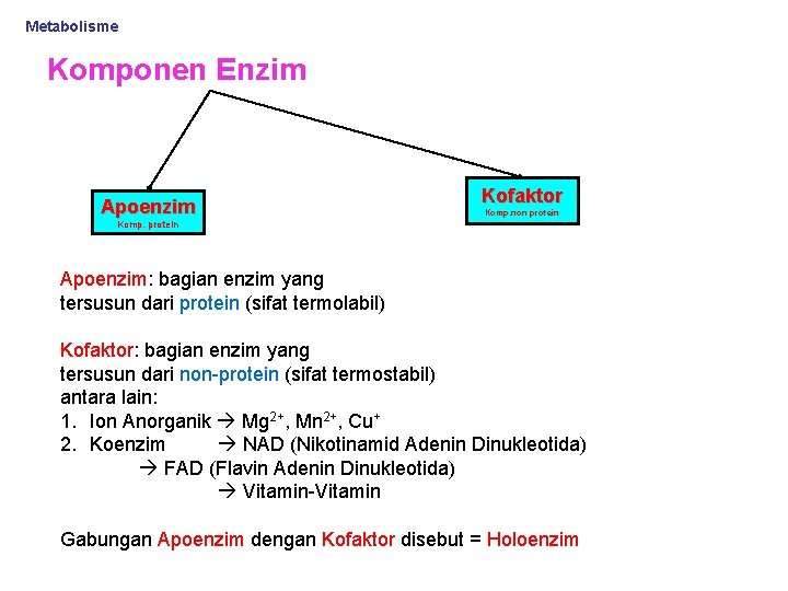 Metabolisme Komponen Enzim Apoenzim Kofaktor Komp. non protein Komp. protein Apoenzim: bagian enzim yang