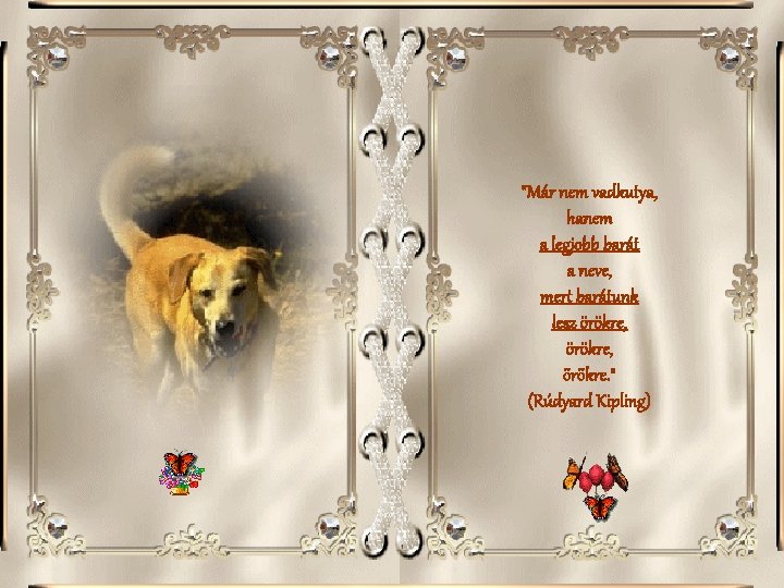 "Már nem vadkutya, hanem a legjobb barát a neve, mert barátunk lesz örökre, örökre.