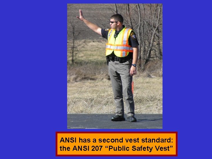 ANSI has a second vest standard: the ANSI 207 “Public Safety Vest” 