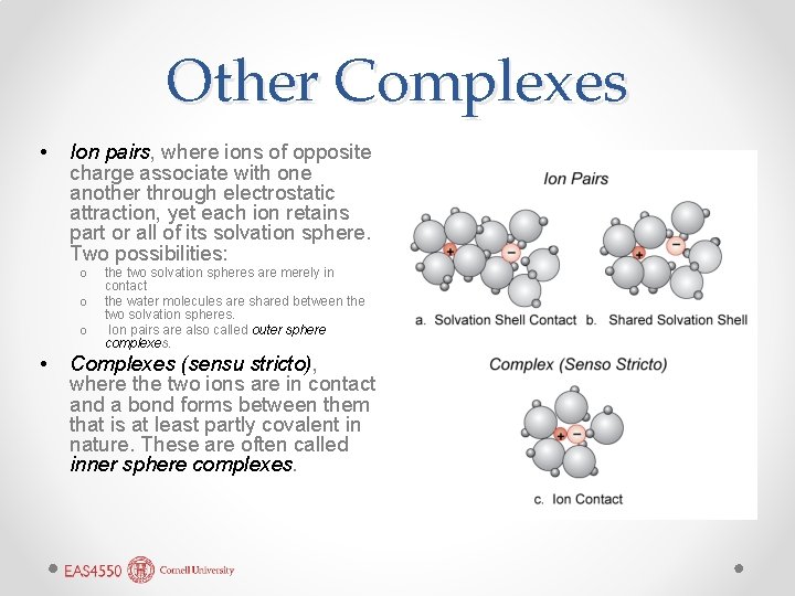 Other Complexes • Ion pairs, where ions of opposite charge associate with one another