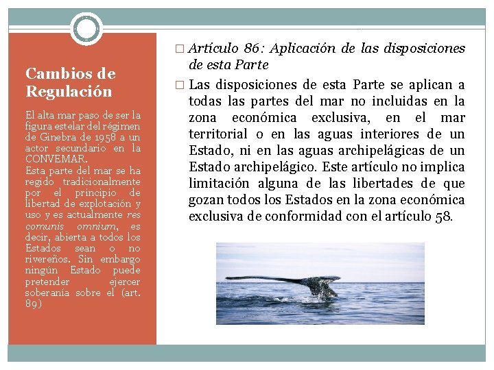 � Artículo 86: Aplicación de las disposiciones Cambios de Regulación El alta mar paso