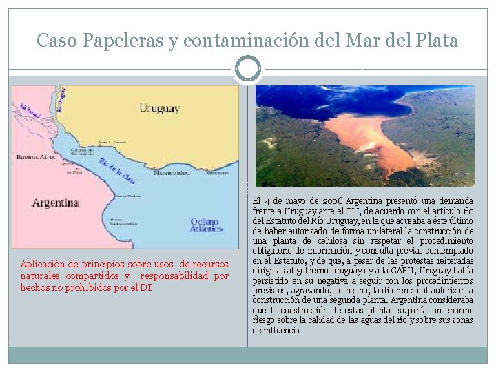 Caso Papeleras y contaminación del Mar del Plata Aplicación de principios sobre usos de