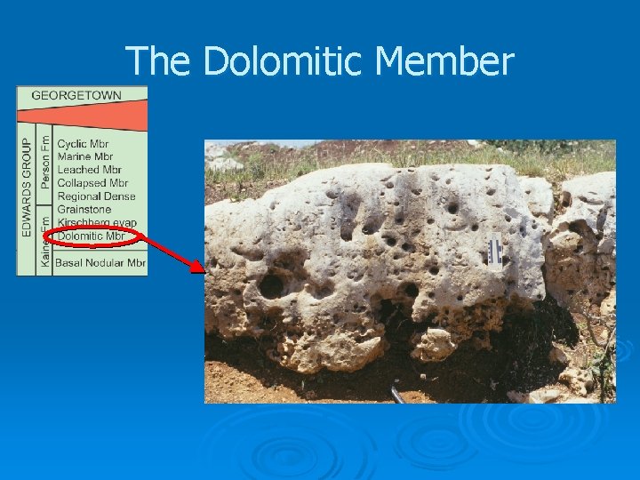 The Dolomitic Member 