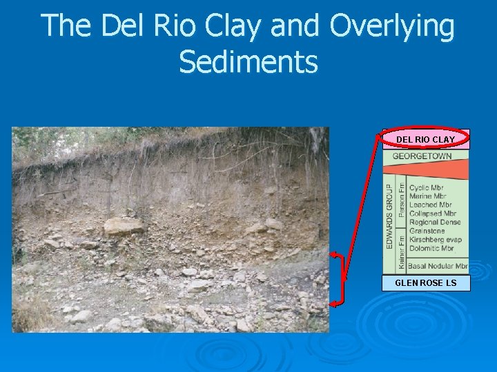 The Del Rio Clay and Overlying Sediments DEL RIO CLAY GLEN ROSE LS 
