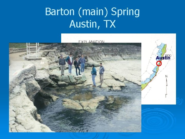 Barton (main) Spring Austin, TX Austin 