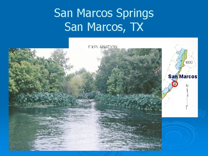 San Marcos Springs San Marcos, TX San Marcos 