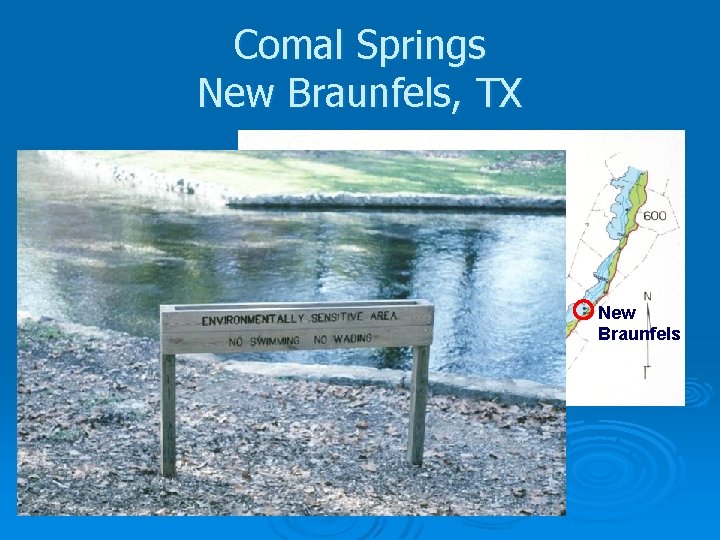 Comal Springs New Braunfels, TX New Braunfels 