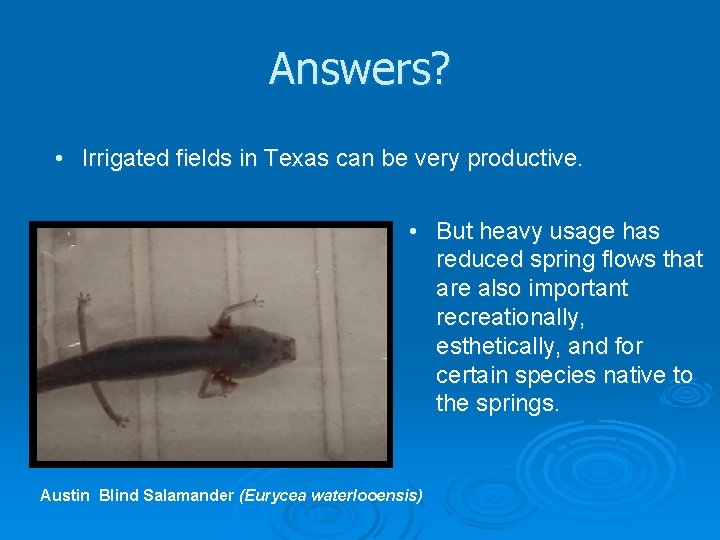 Answers? • Irrigated fields in Texas can be very productive. • But heavy usage