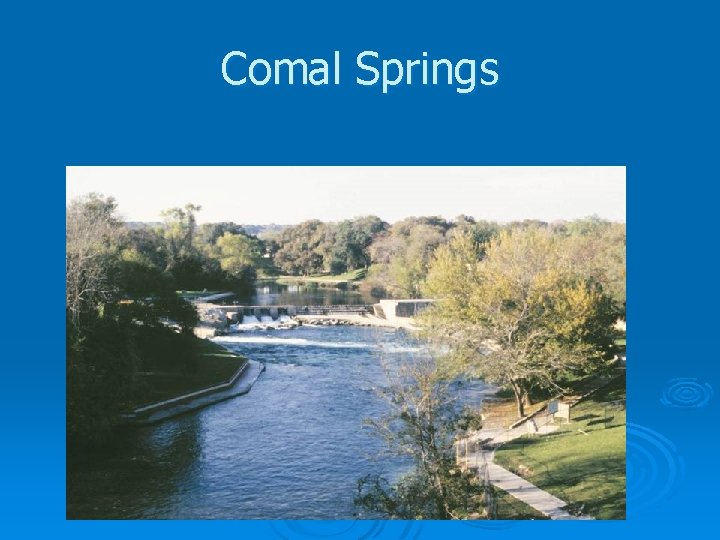 Comal Springs 