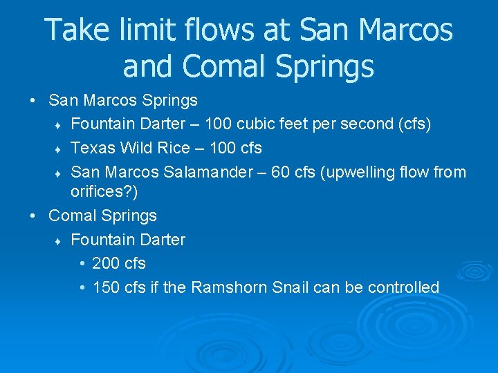 Take limit flows at San Marcos and Comal Springs • San Marcos Springs ♦