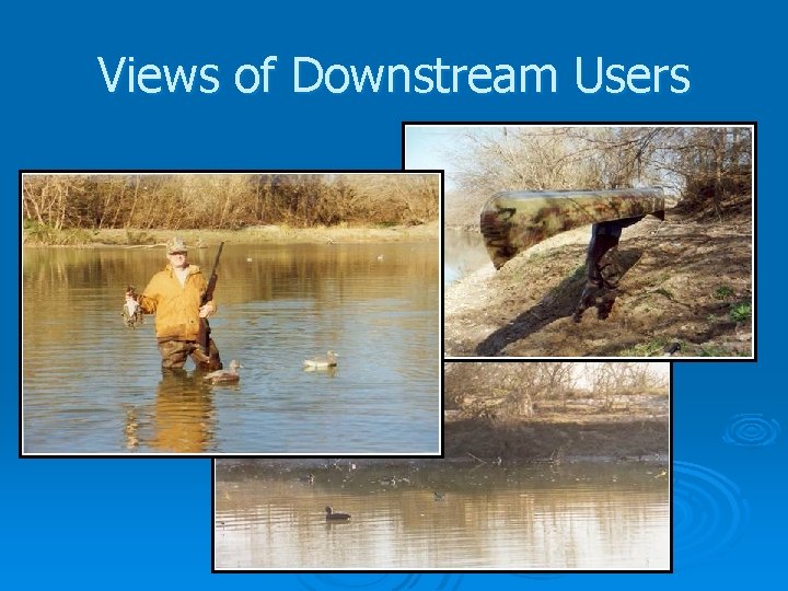 Views of Downstream Users 