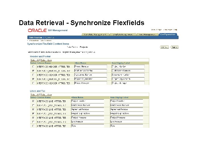 Data Retrieval - Synchronize Flexfields 