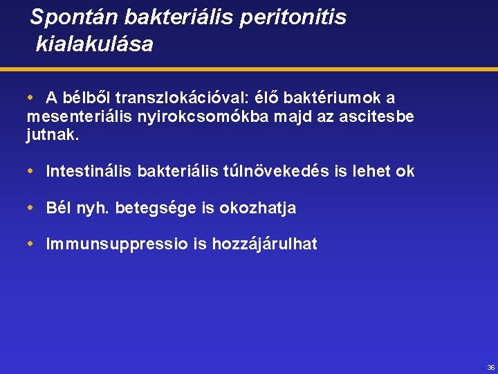 Spontán bakteriális peritonitis kialakulása A bélből transzlokációval: élő baktériumok a mesenteriális nyirokcsomókba majd az