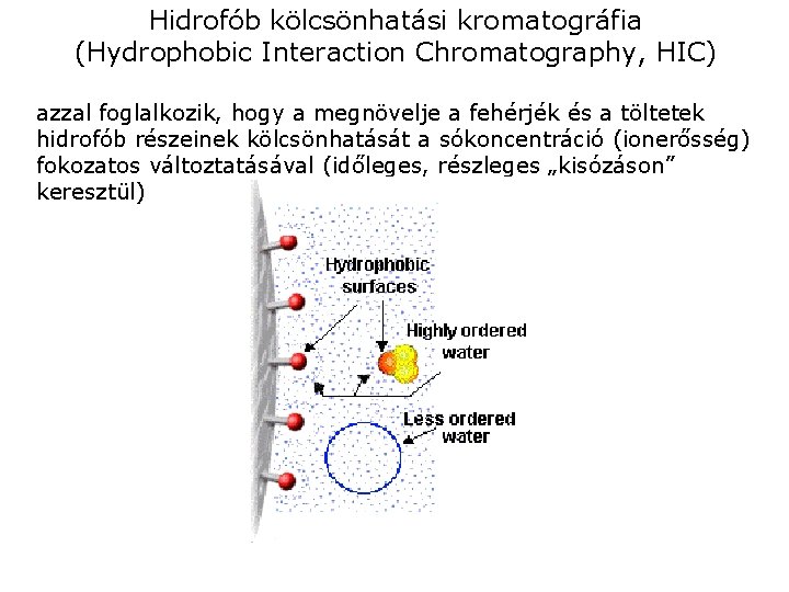 Hidrofób kölcsönhatási kromatográfia (Hydrophobic Interaction Chromatography, HIC) azzal foglalkozik, hogy a megnövelje a fehérjék