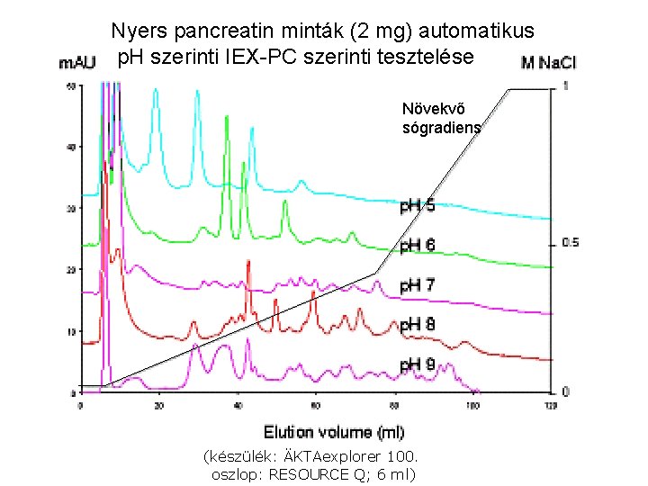 Nyers pancreatin minták (2 mg) automatikus p. H szerinti IEX-PC szerinti tesztelése Növekvő sógradiens