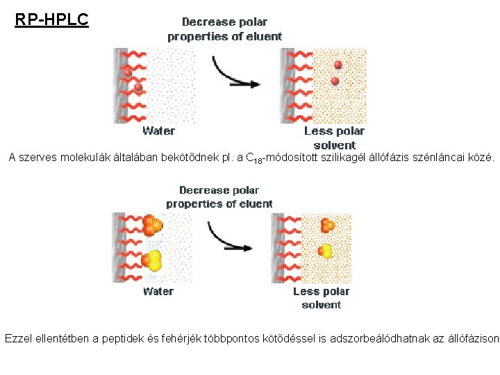 RP-HPLC A szerves molekulák általában bekötődnek pl. a C 18 -módosított szilikagél állófázis szénláncai
