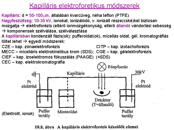 Kapilláris elektroforetikus módszerek Kapilláris: d = 50 -100 mm, általában kvarcüveg, néha teflon (PTFE)