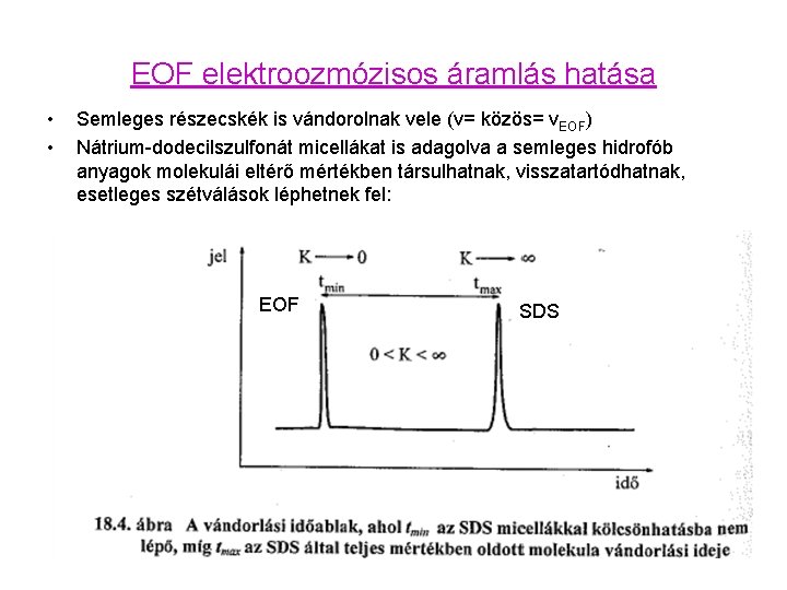 EOF elektroozmózisos áramlás hatása • • Semleges részecskék is vándorolnak vele (v= közös= v.