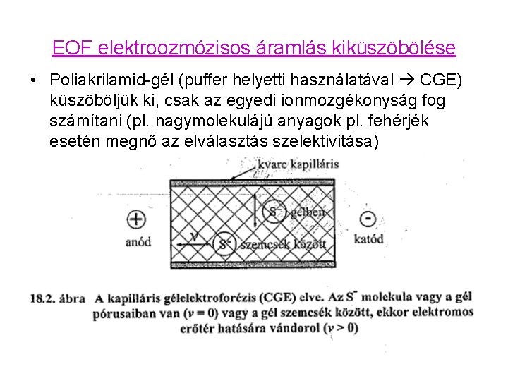 EOF elektroozmózisos áramlás kiküszöbölése • Poliakrilamid-gél (puffer helyetti használatával CGE) küszöböljük ki, csak az